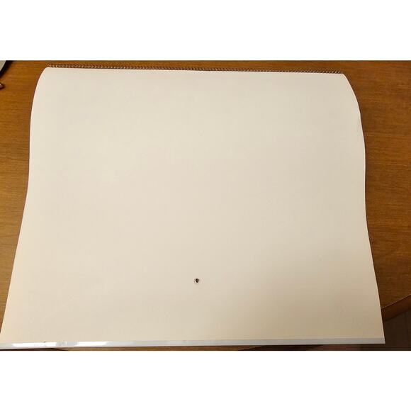 1993 Vintage  Remington Dupont Calendar Wildlife and Hunting Memorabilia - Picture 6 of 6